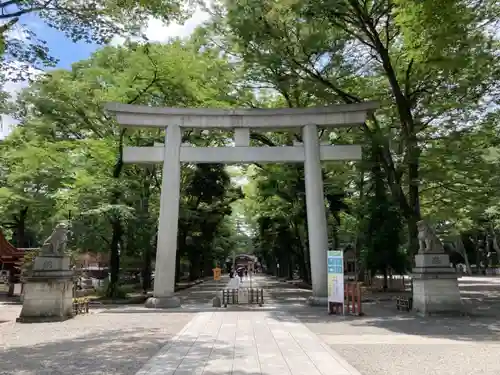 大國魂神社の鳥居