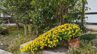 霊鑑寺門跡(京都府)