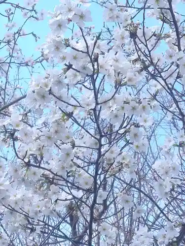 足高神社の自然