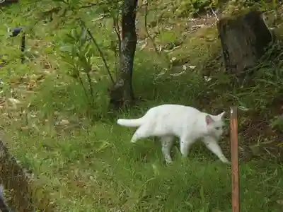 黄梅院(岐阜県)