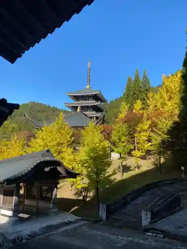 清大寺(越前大仏)(福井県)