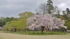 賀茂別雷神社（上賀茂神社）の庭園