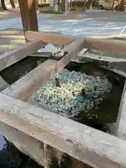 甲斐國一宮 浅間神社(山梨県)