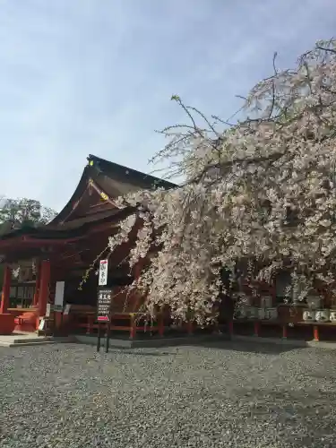 富士山本宮浅間大社(静岡県)