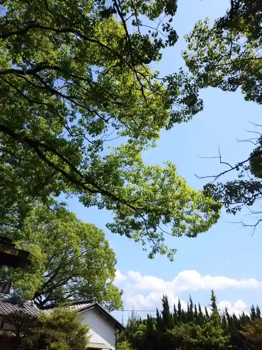 刺田比古神社(和歌山県)