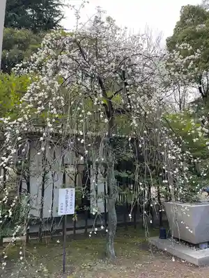 川口神社(埼玉県)