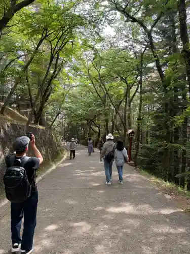 新倉富士浅間神社(山梨県)