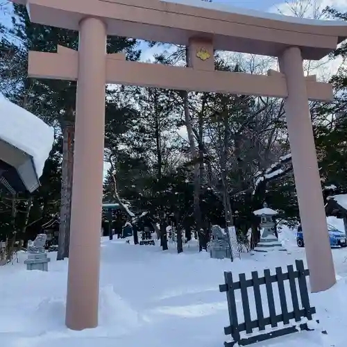 琴似神社の鳥居