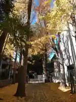 荻窪白山神社(東京都)