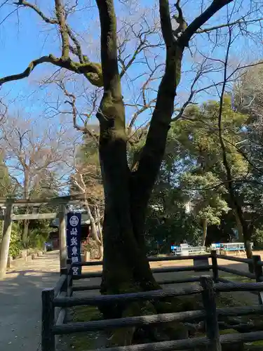 仙波東照宮(埼玉県)