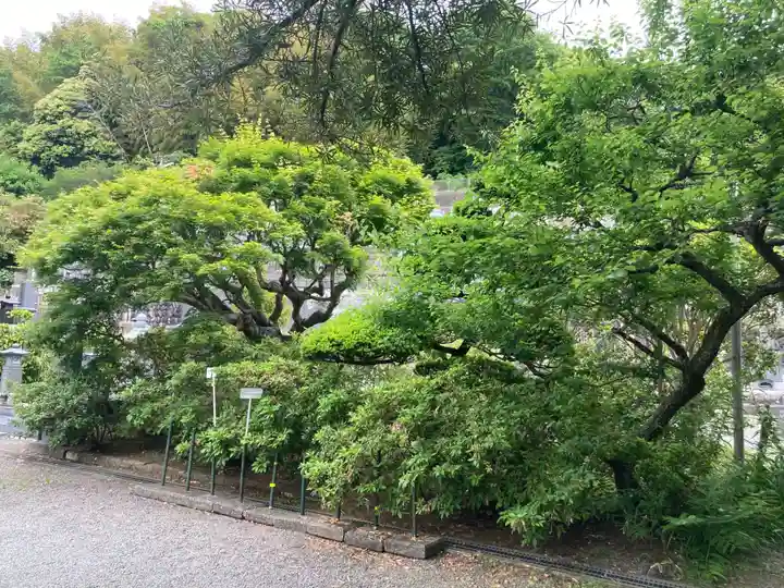 安楽院(神奈川県)