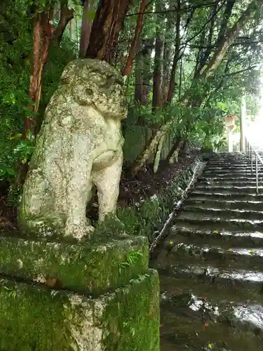 山口大神宮の狛犬