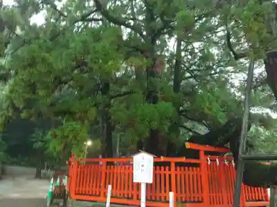 香椎宮(福岡県)