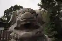 三柱神社の狛犬