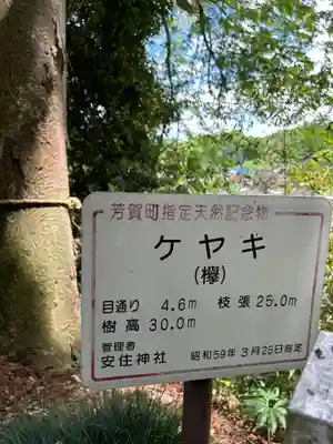 安住神社(栃木県)