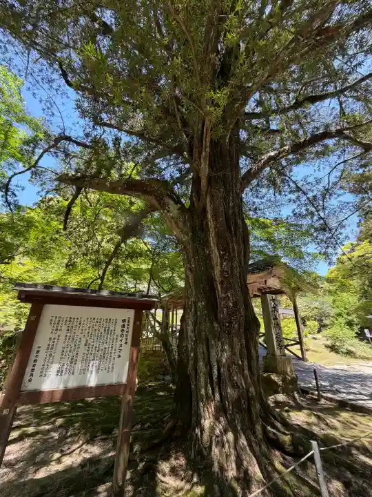 佛通寺の{uncategorized: "未分類", other: "その他", undefined: "問題あり", building: "その他建物", grave: "お墓", sacred_gate: "鳥居", guardian: "狛犬", statue: "像", buddha: "仏像", history: "歴史", nature: "自然", garden: "庭園", animal: "動物", pagoda: "塔", temizu: "手水舎", mountain_gate: "山門・神門", sanctuary: "本殿・本堂", subordinate: "末社・摂社", art: "芸術", scenery: "景色", jizo: "地蔵", ema: "絵馬", goshuin: "御朱印", omikuji: "おみくじ", items: "授与品その他", amulet: "お守り", goshuincho: "御朱印帳", eats: "食事", festival: "お祭り", votive_dance: "神楽", shichigosan: "七五三参", wedding: "結婚式", experience: "体験その他", initially: "初詣", around: "周辺", anti_infection: "感染症対策"}