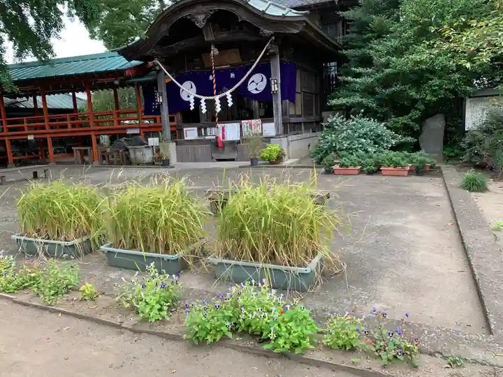 水海道鎮守 八幡神社のその他建物