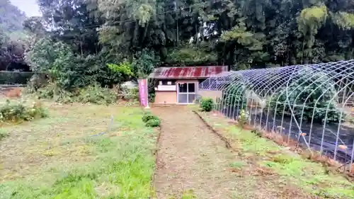 小坂熊野神社(茨城県)