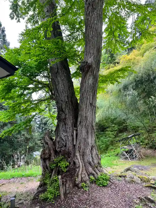 大聖寺(亀岡文殊)(山形県)