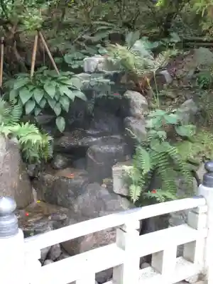 岡寺（龍蓋寺）(奈良県)