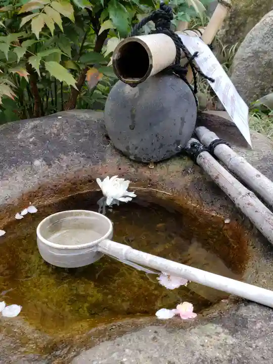 心光院(東京都)