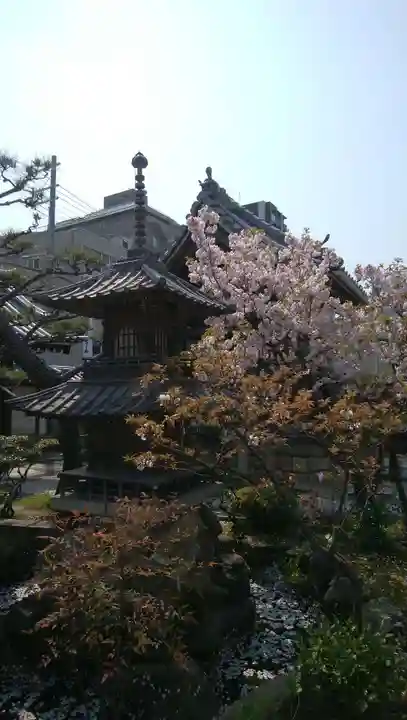 圓通寺の塔