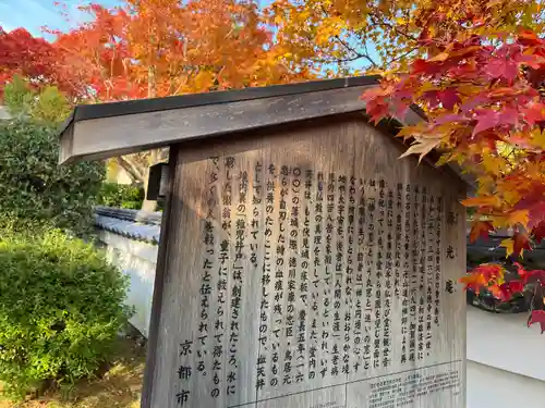 源光庵(京都府)