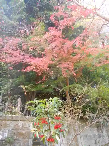 安國論寺（安国論寺）の自然