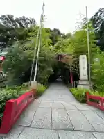 來宮神社(静岡県)