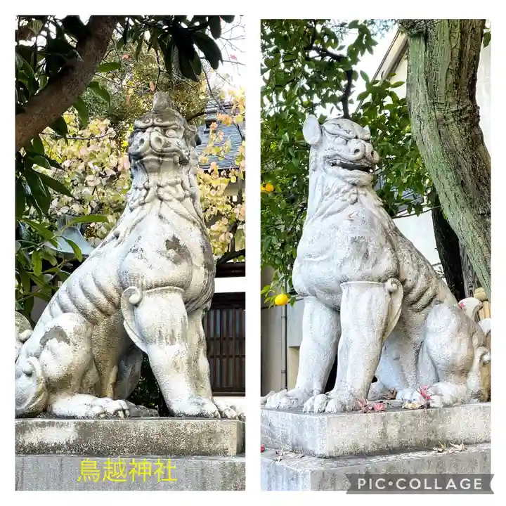 鳥越神社の狛犬