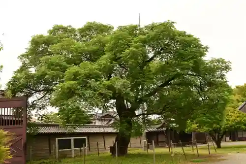 本徳寺(兵庫県)