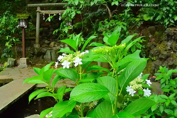 伊勢山皇大神宮(神奈川県)