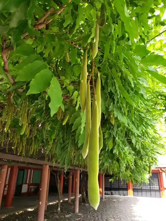 日枝神社(東京都)