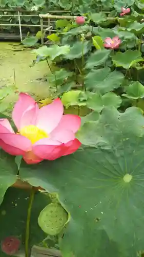 八幡神社のその他建物