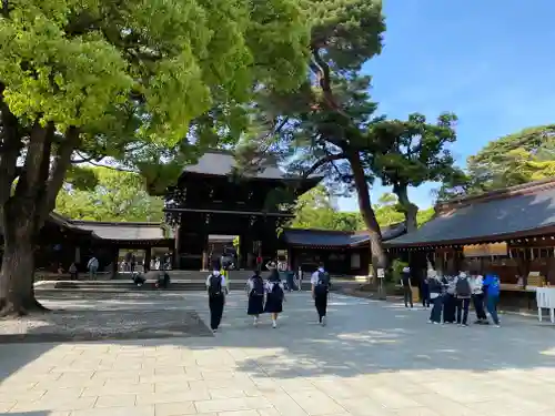 明治神宮(東京都)
