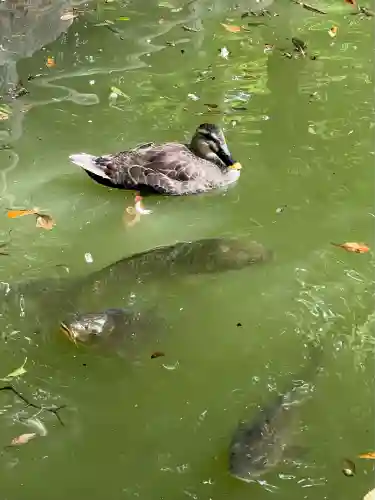 乃木神社(栃木県)
