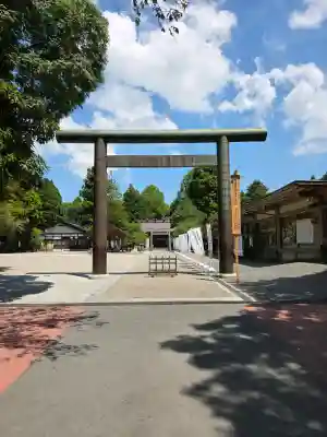 射水神社の{uncategorized: "未分類", other: "その他", undefined: "問題あり", building: "その他建物", grave: "お墓", sacred_gate: "鳥居", guardian: "狛犬", statue: "像", buddha: "仏像", history: "歴史", nature: "自然", garden: "庭園", animal: "動物", pagoda: "塔", temizu: "手水舎", mountain_gate: "山門・神門", sanctuary: "本殿・本堂", subordinate: "末社・摂社", art: "芸術", scenery: "景色", jizo: "地蔵", ema: "絵馬", goshuin: "御朱印", omikuji: "おみくじ", items: "授与品その他", amulet: "お守り", goshuincho: "御朱印帳", eats: "食事", festival: "お祭り", votive_dance: "神楽", shichigosan: "七五三参", wedding: "結婚式", experience: "体験その他", initially: "初詣", around: "周辺", anti_infection: "感染症対策"}