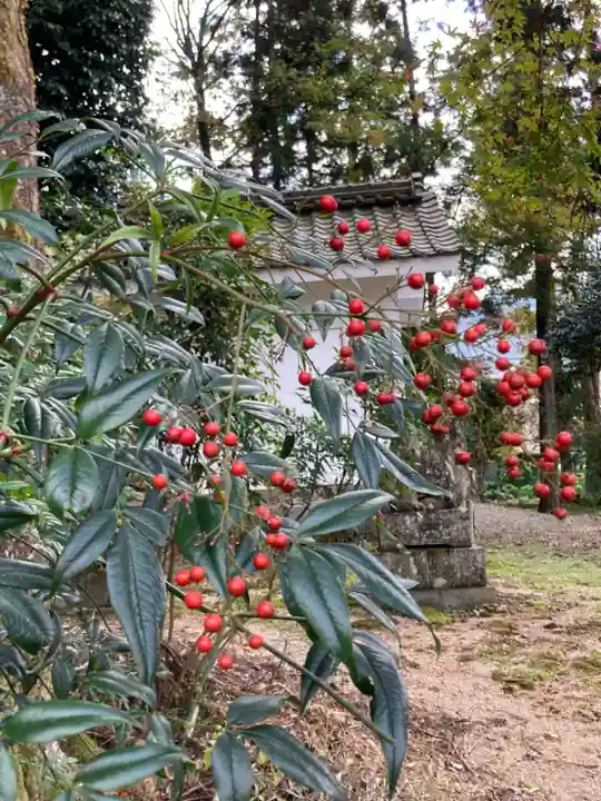伊福部神社の自然