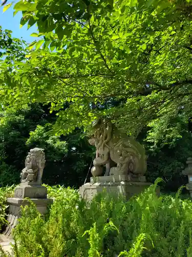 神炊館神社 ⁂奥州須賀川総鎮守⁂の狛犬