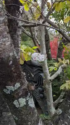 法雲寺(京都府)