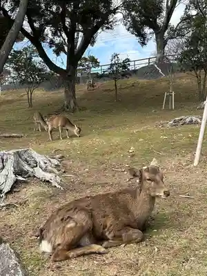興福寺(奈良県)