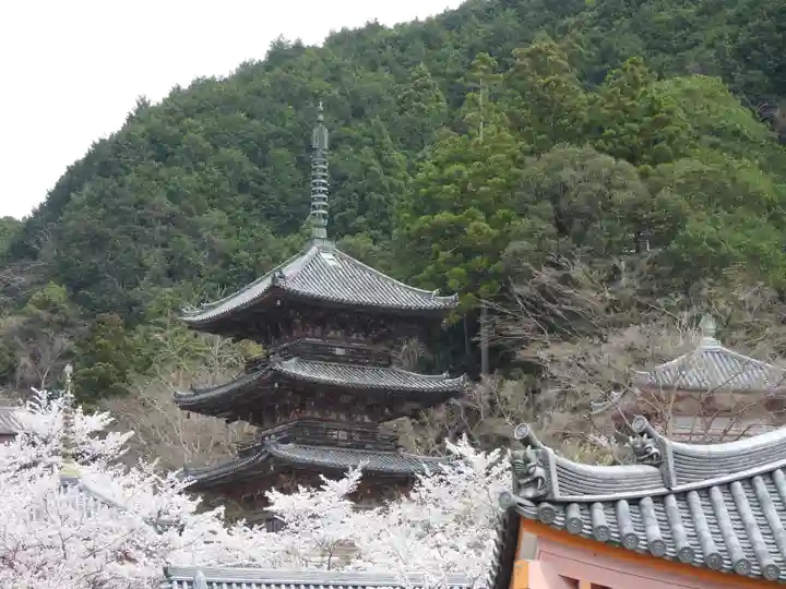 南法華寺(壷阪寺)(奈良県)