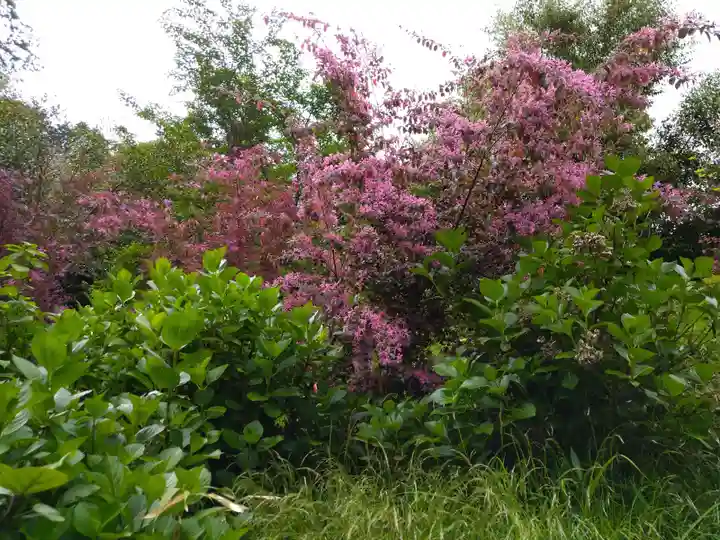 国宝 長寿寺(滋賀県)