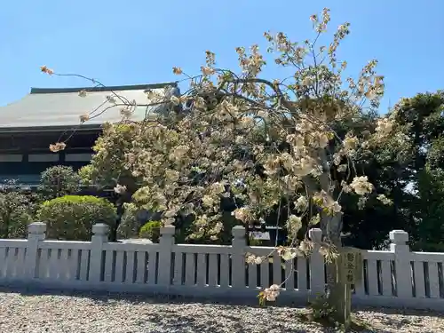 成田山新勝寺の自然