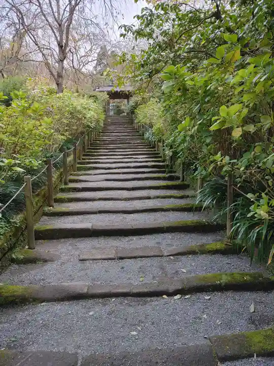 明月院(神奈川県)
