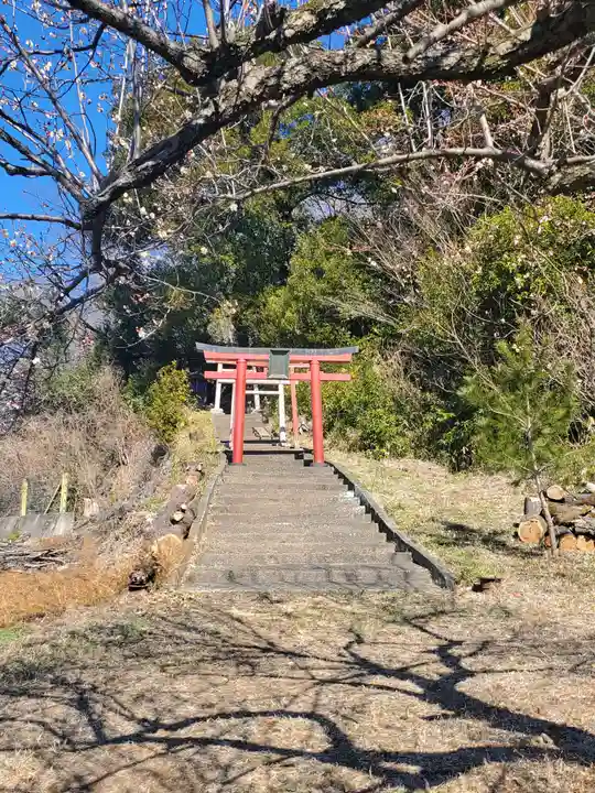 稲荷神社(借宿町)(栃木県)