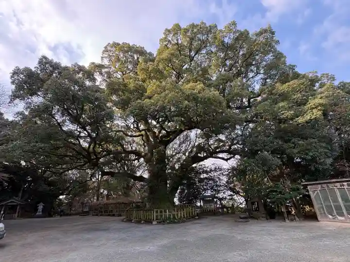 高良大社(福岡県)