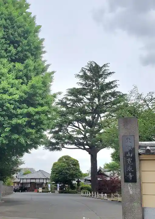 寛永寺(根本中堂)(東京都)