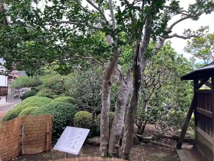 保井寺(東京都)