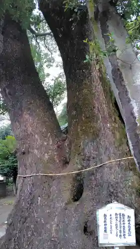 八幡宮(静岡県)